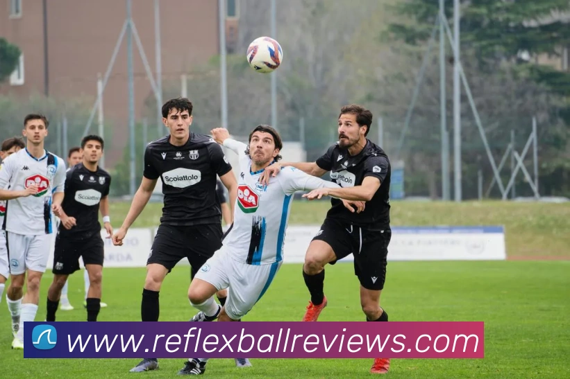 企业概况